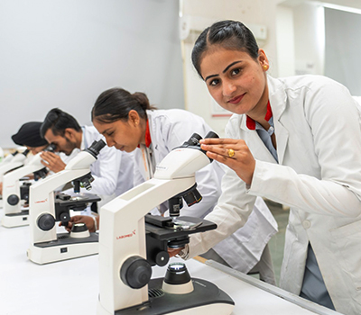 Lab image 4